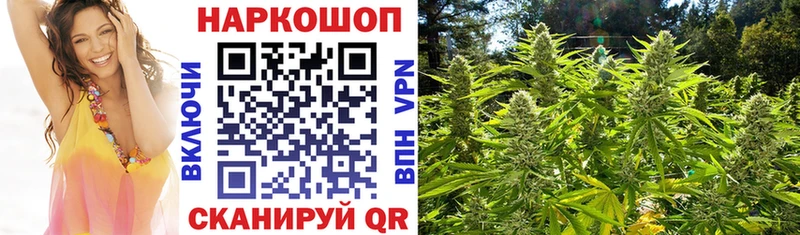 Где купить Зуевка Канабис